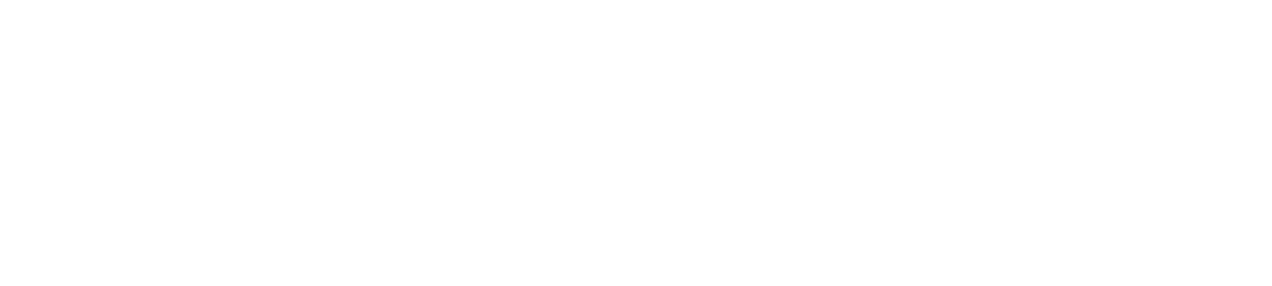 Cybersecurity Logo (white)